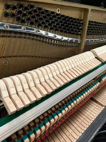 Hammers, strings & action detail