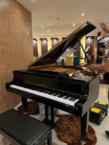 Grand piano · on-site care