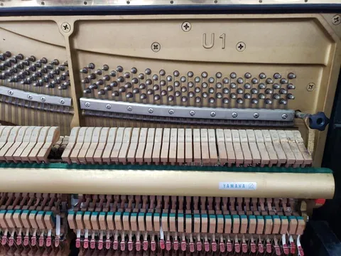 Yamaha U1 · action detail