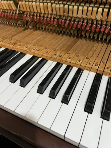 Keys and playing mechanism