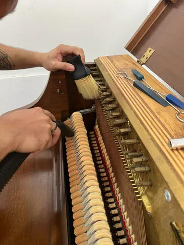 Cleaning the piano action